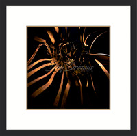 Confetti Black