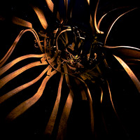 Dimensions 1 x 1